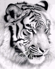 Laden Sie das Bild in den Galerie-Viewer, Malen nach Zahlen fŸr Erwachsene |ÊSibirischer Tiger | Figured&#39;Art