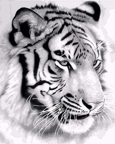 Malen nach Zahlen fŸr Erwachsene |ÊSibirischer Tiger | Figured'Art