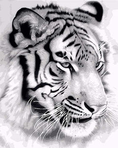 Malen nach Zahlen fŸr Erwachsene |ÊSibirischer Tiger | Figured'Art