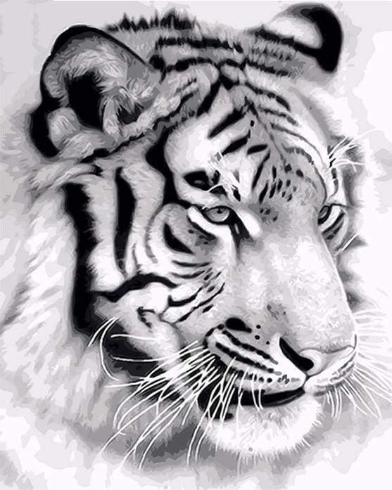 Malen nach Zahlen fŸr Erwachsene |ÊSibirischer Tiger | Figured'Art