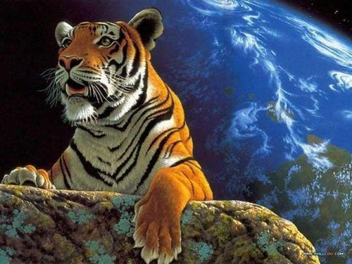 Malen nach Zahlen fŸr Erwachsene |ÊTiger und Erde | Figured'Art