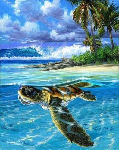 Malen nach Zahlen fŸr Erwachsene |ÊEntspannte Schildkröte | Figured'Art