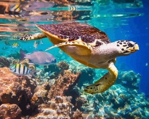 Malen nach Zahlen fŸr Erwachsene |ÊSchildkröten auf dem Meeresboden | Figured'Art