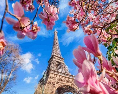 Malen nach Zahlen fŸr Erwachsene |ÊEiffelturm und Magnolias | Figured'Art