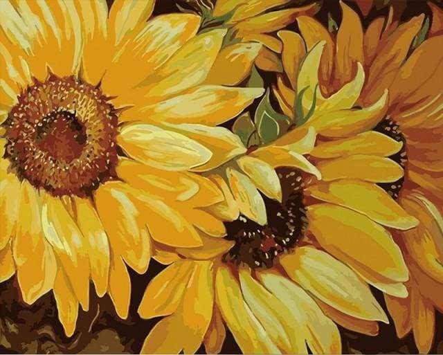 Malen nach Zahlen fŸr Erwachsene |ÊSonnenblumen in voller Blüte | Figured'Art