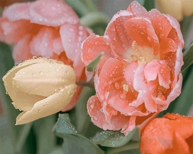 Malen nach Zahlen fŸr Erwachsene |ÊNasse Tulpen | Figured'Art
