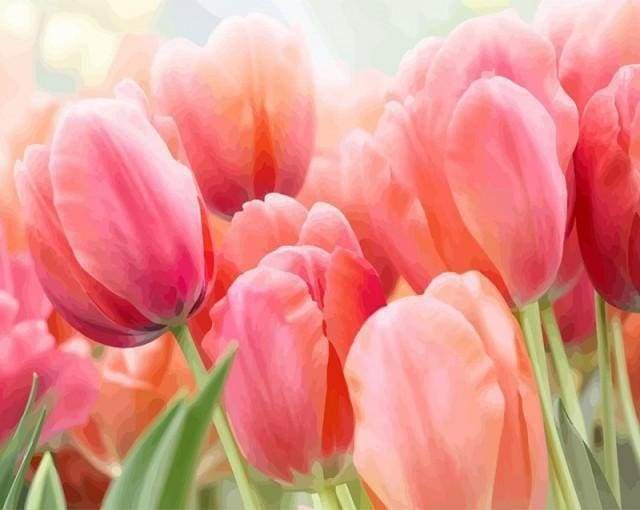 Malen nach Zahlen Erwachsene Tulpen Figured'Art