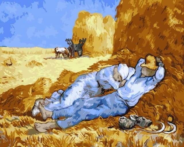 Malen nach Zahlen fŸr Erwachsene |ÊVan Gogh - Feld | Figured'Art