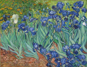 Malen nach Zahlen fŸr Erwachsene |ÊVan Gogh Iris | Figured'Art