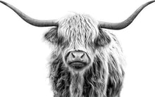 Laden Sie das Bild in den Galerie-Viewer, Malen nach Zahlen fŸr Erwachsene |ÊGrauer Yak | Figured&#39;Art
