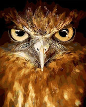 Laden Sie das Bild in den Galerie-Viewer, Malen nach Zahlen fŸr Erwachsene |ÊStechende Augen Adler | Figured&#39;Art