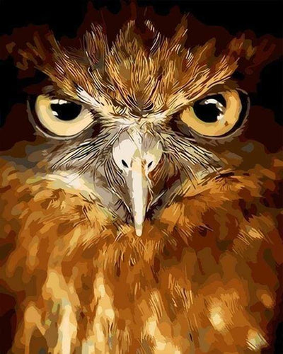 Malen nach Zahlen fŸr Erwachsene |ÊStechende Augen Adler | Figured'Art