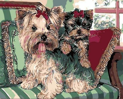 Malen nach Zahlen fŸr Erwachsene |ÊYorkshire Terrier auf dem Sofa | Figured'Art